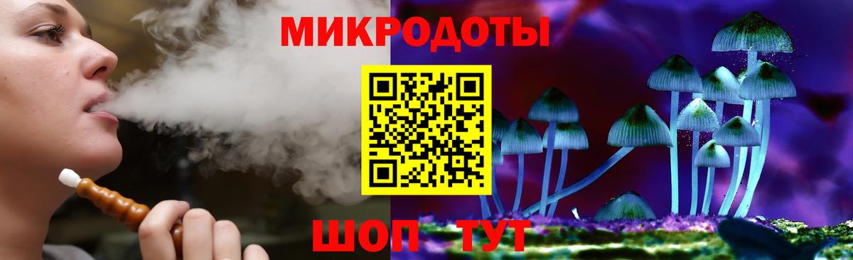 Псилоцибиновые грибы Cubensis Королёв